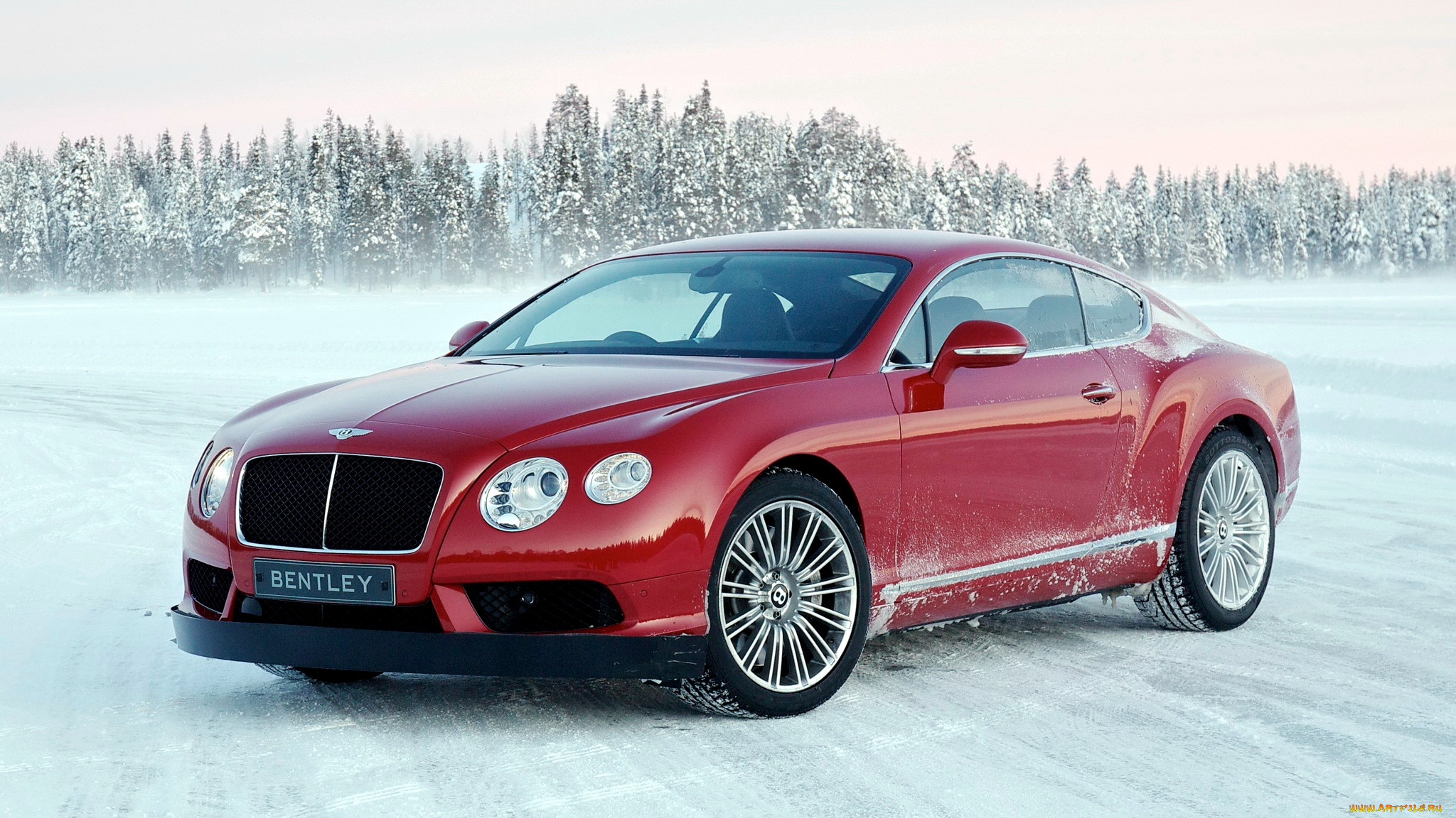 bentley, continental, , , motors, -, 